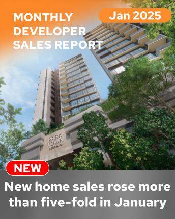 Monthly Developers Sales Jan 2025